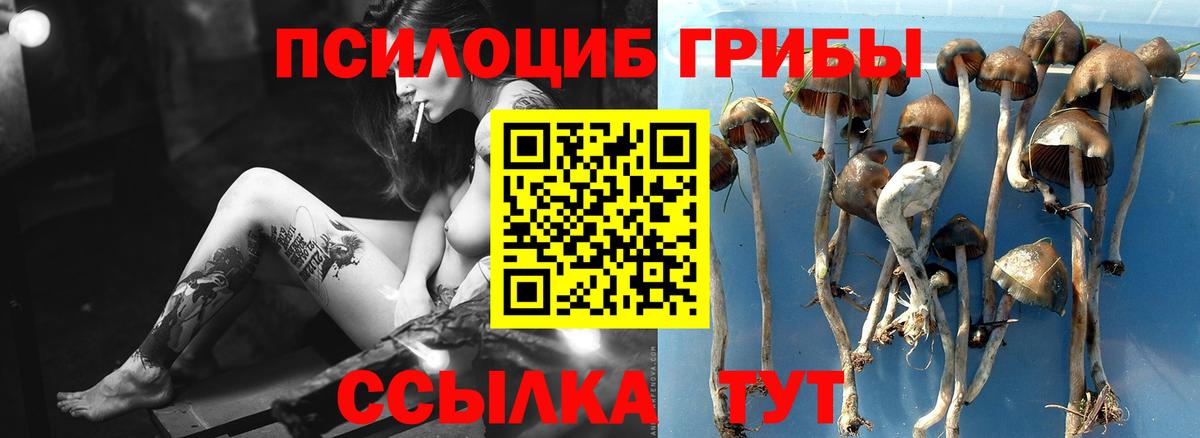 Галлюциногенные грибы прущие грибы  Псилоцибиновые грибы GOLDEN TEACHER  Белово  где можно купить   Вход с VPN 